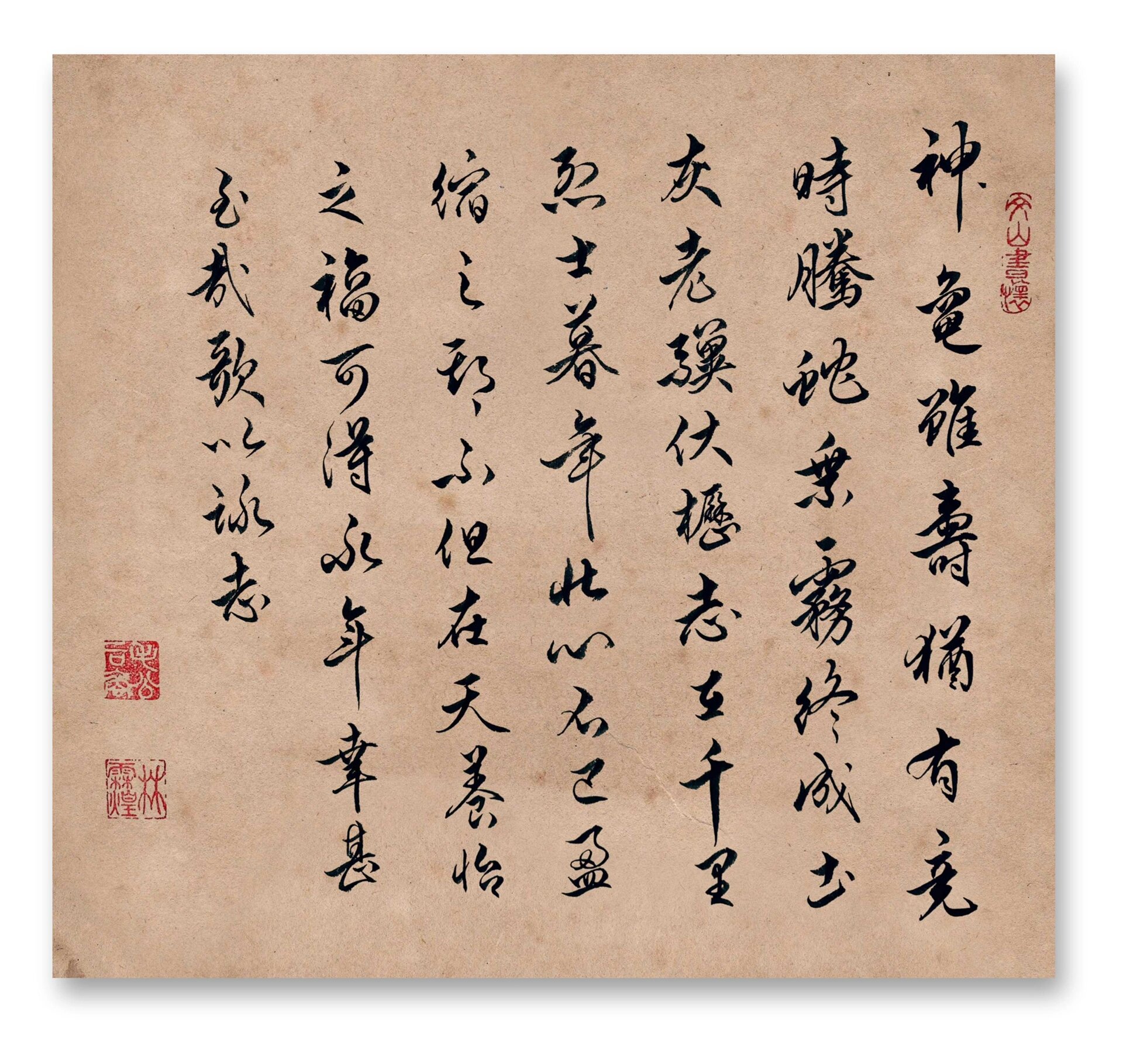 老驥伏櫪 志在千里