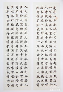 老驥伏櫪志千里 夕陽余熱暖人間 書法家侯堪虎