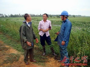 老驥伏櫪霞滿天