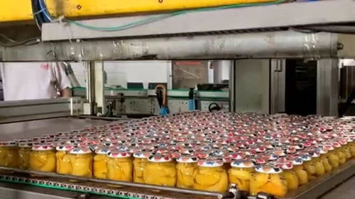 食品車間生產(chǎn)罐頭,全部采用自動化機(jī)械生產(chǎn),工人們上班輕松多了