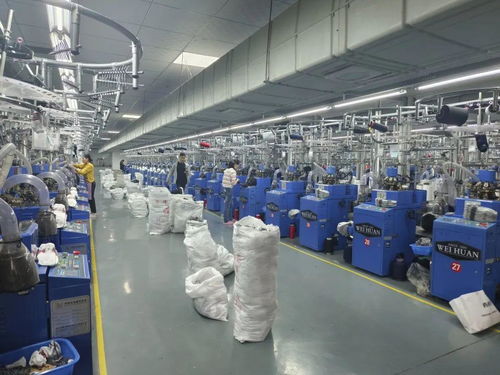 溫暖的回響 社區(qū)小工廠 就業(yè)大舞臺 897聚焦